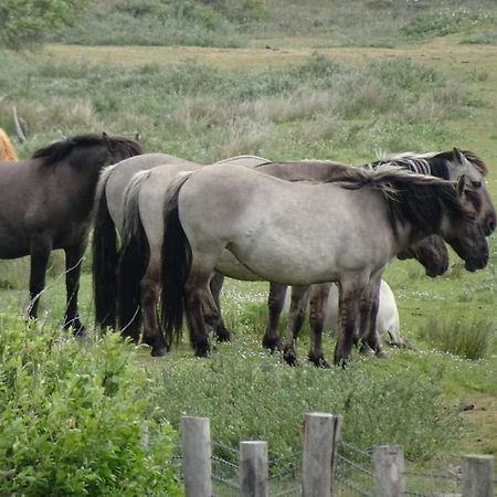 Prachtige Woning Aan De Duinen Villa Den Helder Luaran gambar