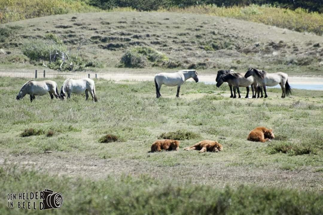 Prachtige Woning Aan De Duinen Villa Den Helder Luaran gambar